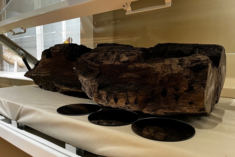 Boxford Timber on display at West Berkshire Museum