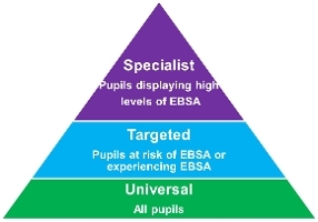 levels of EBSA support