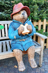Paddington Bear