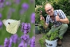 15 - Make your patio a haven for wildlife